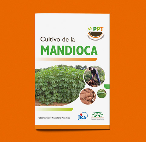Manual cultivo de mandioca